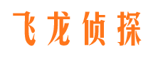 西陵市侦探调查公司